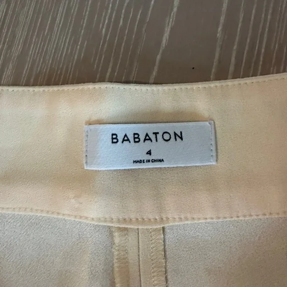 Aritzia skort - Picture 2 of 8